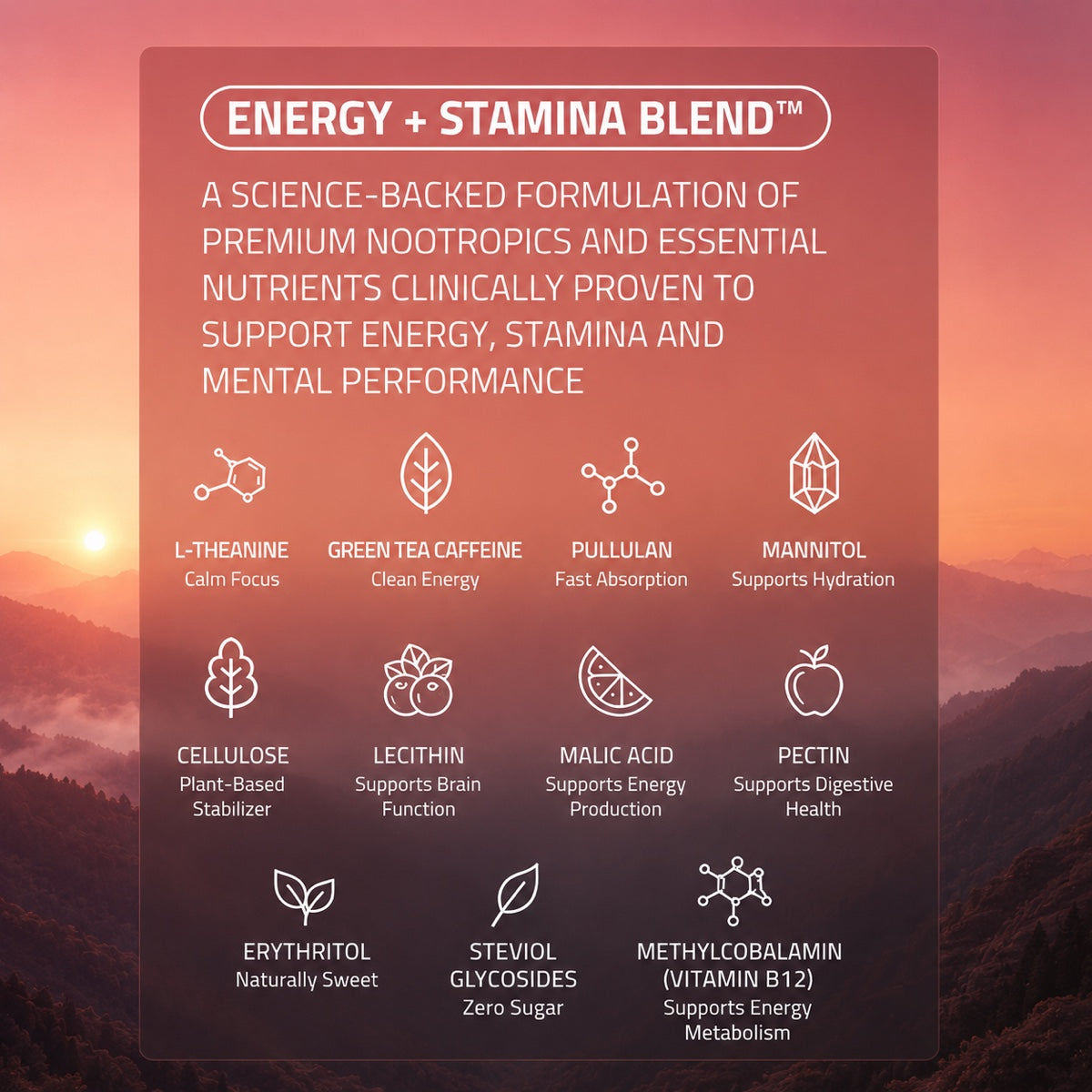Energy + Stamina ingredient blend