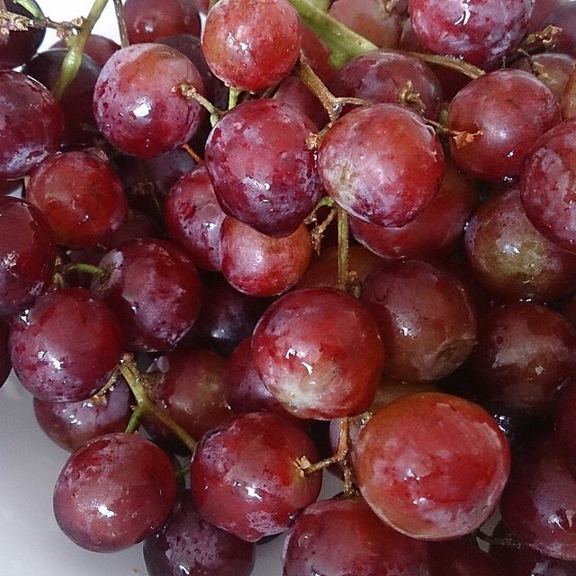 Grape Seed — natural source