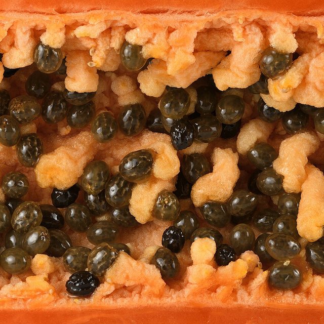 Papain — natural source