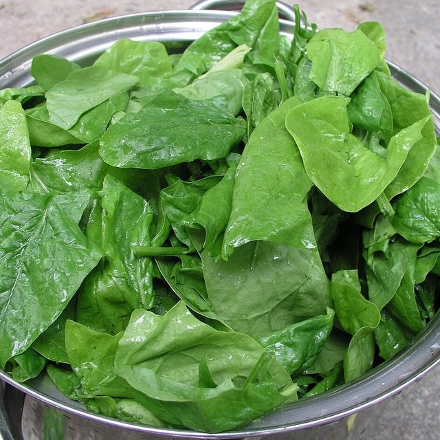 Folate — natural source