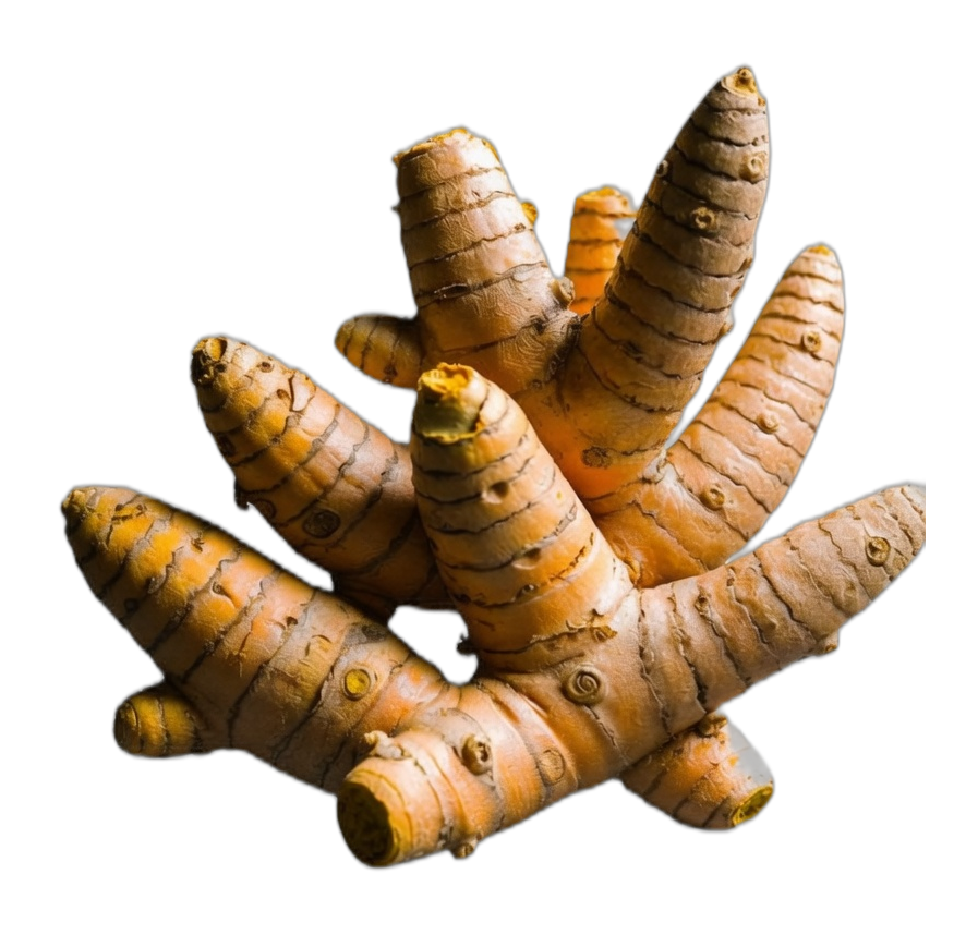 Turmeric — natural source